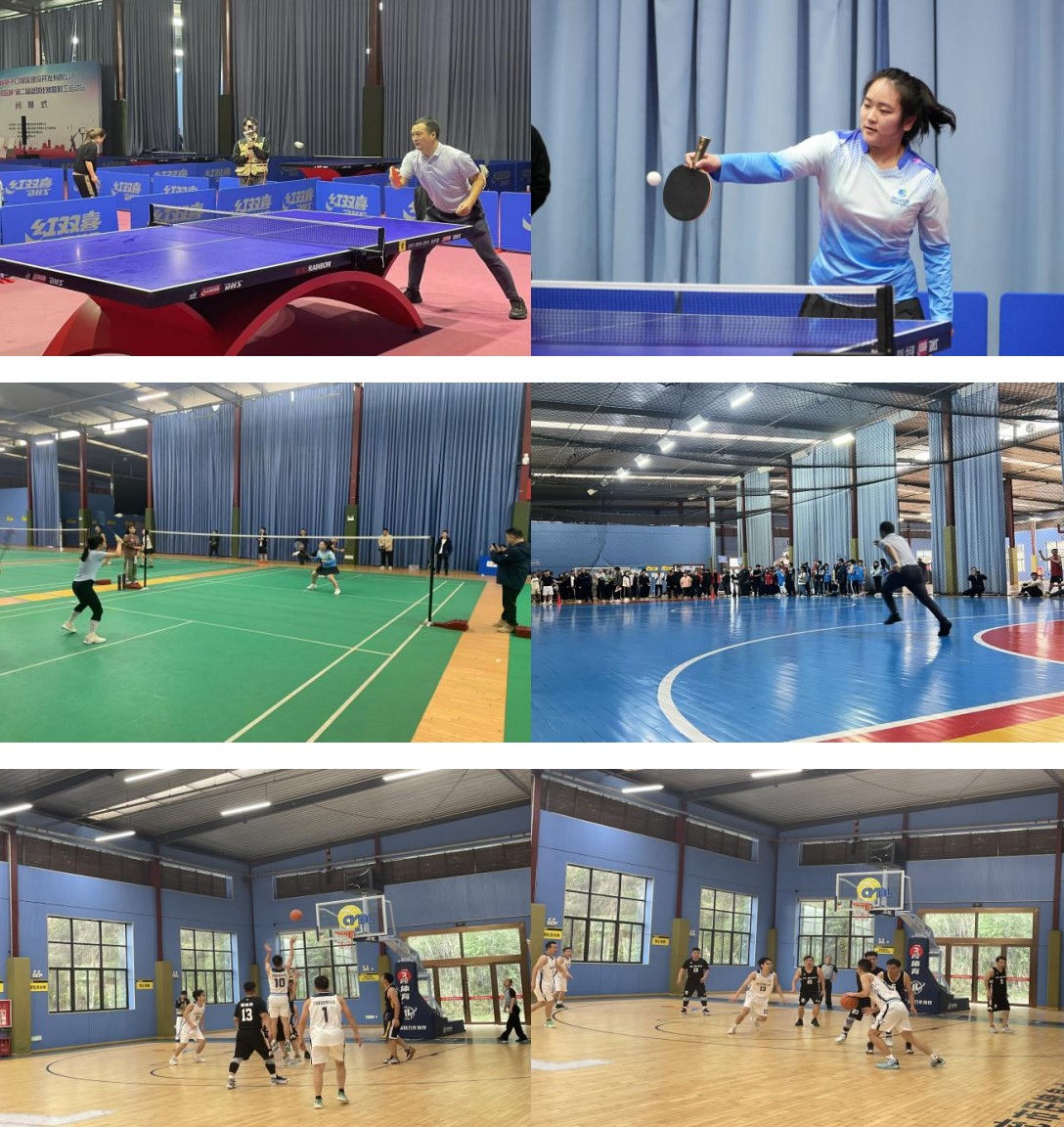 屏幕截圖 2024-11-15 095314